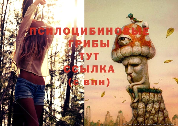 мяу мяу мука Бородино