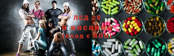 мяу мяу мука Бородино