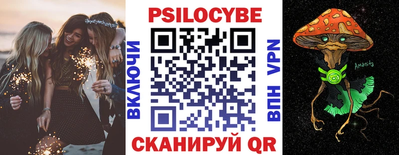гидра ссылки  закладки  Кодинск  shop наркотические препараты  Псилоцибиновые грибы Psilocybine cubensis 